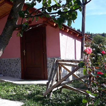 Villa Vrbena מראה חיצוני תמונה